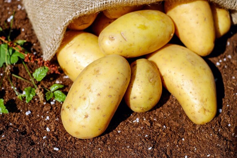 potatoes, vegetables, tuber-1585075.jpg